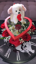 Box roses rouges et peluche – Le câlin